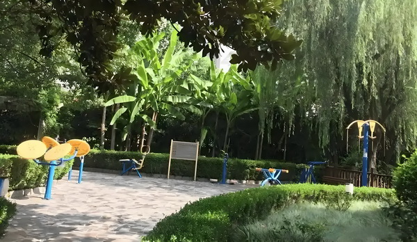 怎么查看申请入深户_王欣瑜拒绝和裁判握手引发淡人人设塌房热议，网友破案：被逼急了 设塌房热议在中国国内